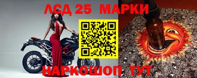 мдпв Камышлов
