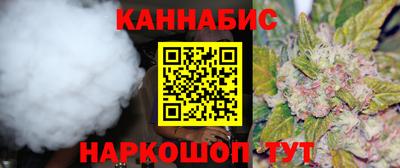 мдпв Камышлов