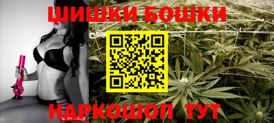 мдпв Камышлов
