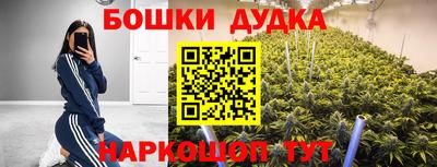 спиды Кандалакша