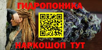 мдпв Камышлов