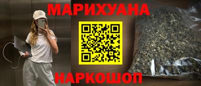мдпв Камышлов