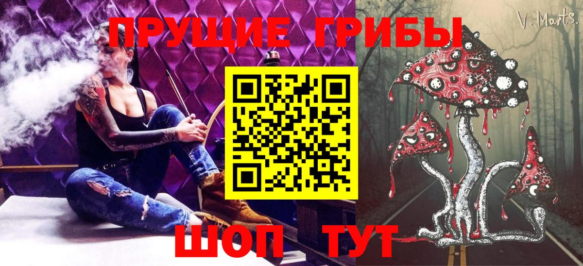 наркошоп  Вход с VPN  Обь  Галлюциногенные грибы Psilocybine cubensis 