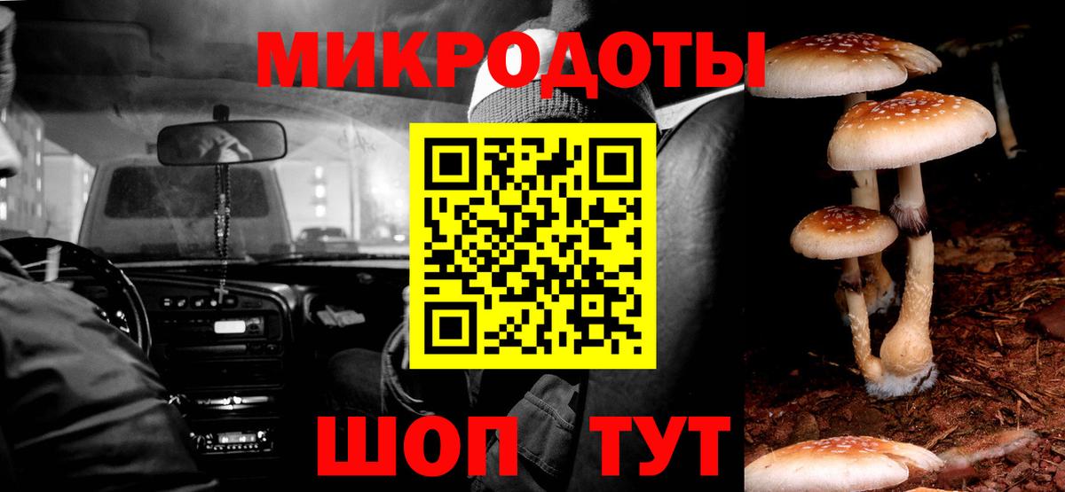 Псилоцибиновые грибы Cubensis Обь
